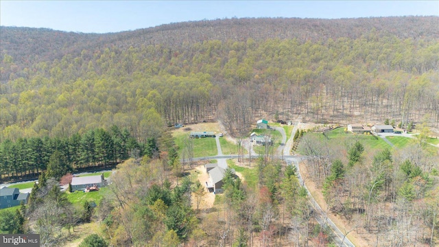 aerial view with a wooded view