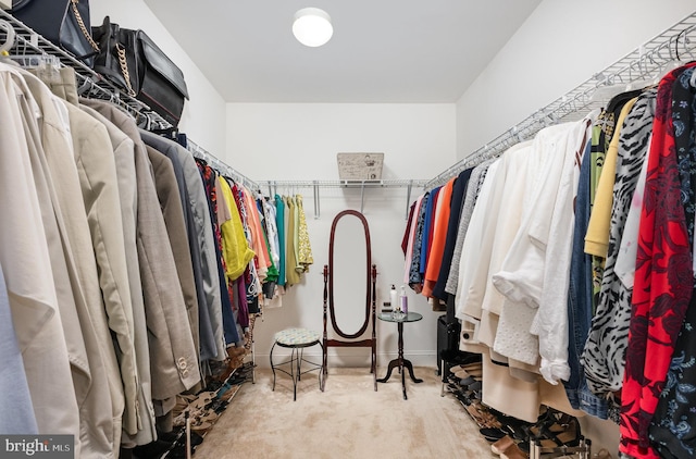 12216 Hillantrae Dr, Clinton, MD 20735 - spacious closet featuring carpet floors