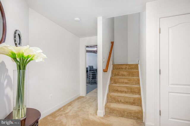 12216 Hillantrae Dr, Clinton, MD 20735 - stairway with carpet flooring and baseboards