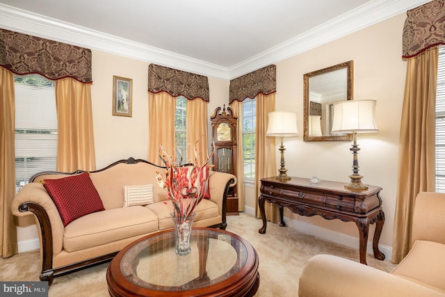 12216 Hillantrae Dr, Clinton, MD 20735 - living area featuring light carpet, crown molding, and baseboards