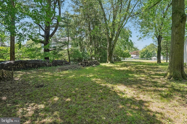 562 Washington Ave, Ewing, NJ 08628 - view of green lawn