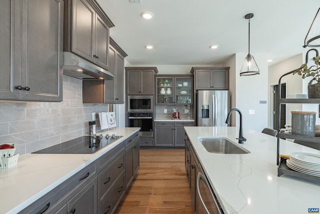 464 Bayberry Ln Unit F3C-10, Zion Crossroads, VA 22942 - kitchen with under cabinet range hood, appliances with stainless steel finishes, decorative backsplash, and a sink