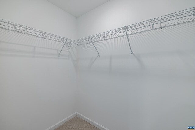 464 Bayberry Ln Unit F3C-10, Zion Crossroads, VA 22942 - walk in closet with carpet flooring