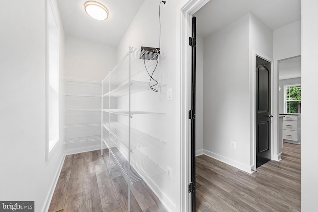 14875 Buckingham Ct, Issue, MD 20645 - walk in closet featuring wood finished floors