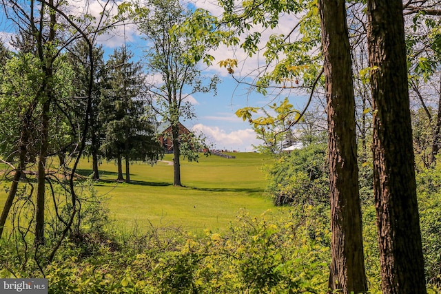 30 Woods Ln, Hanover, PA 17331 - surrounding community with a yard