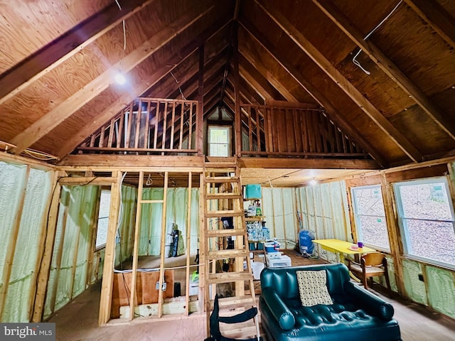 unfinished attic with plenty of natural light