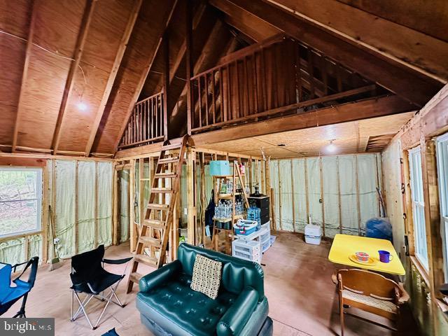 miscellaneous room featuring lofted ceiling
