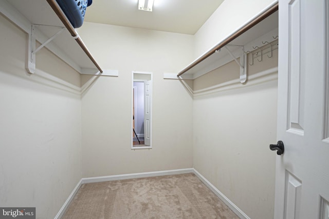 9190 Balsam Run, Bel Alton, MD 20611 - walk in closet featuring carpet