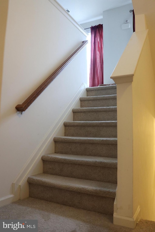 178 Creekside Way, Burlington, NJ 08016 - stairway with carpet