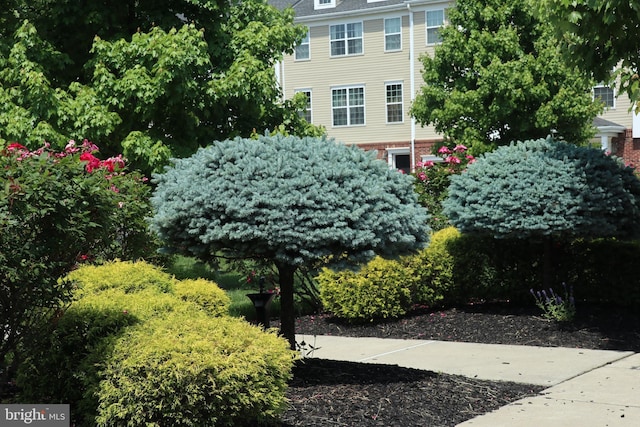 178 Creekside Way, Burlington, NJ 08016 - view of yard