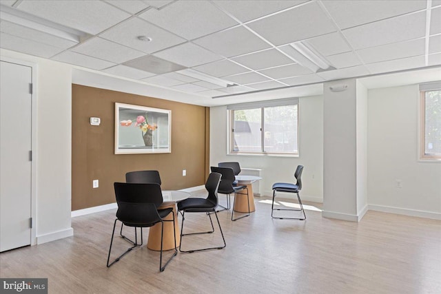 living area with a drop ceiling, light wood-style floors, and a healthy amount of sunlight