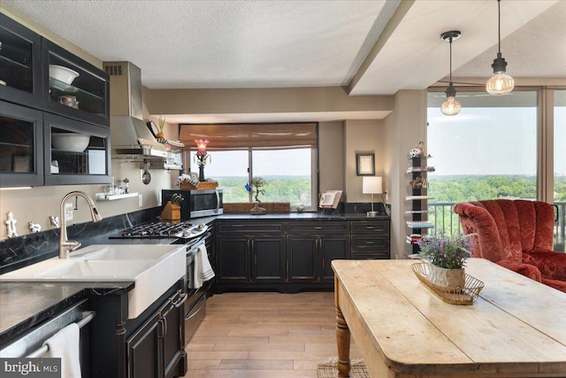 kitchen with glass insert cabinets, stainless steel appliances, light wood-type flooring, wall chimney range hood, and dark cabinetry
