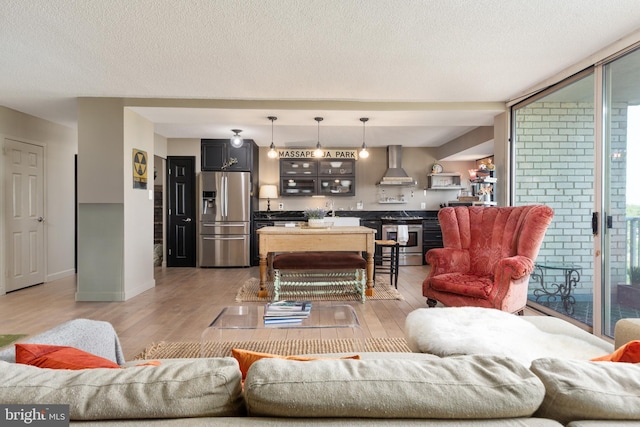 living area featuring baseboards, light wood-style flooring, and a textured ceiling