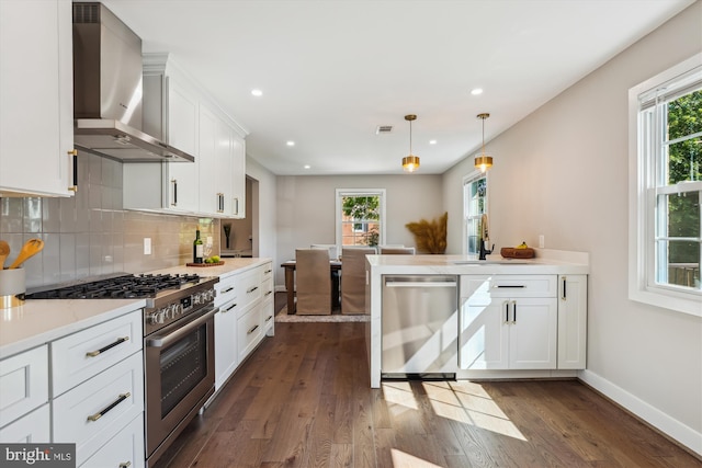 101 Oakmont Ct NE, Vienna, VA 22180 - kitchen featuring wall chimney exhaust hood, stainless steel appliances, a sink, plenty of natural light, and recessed lighting