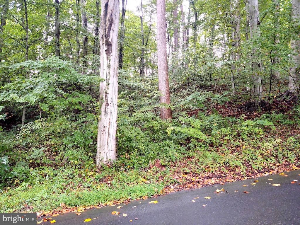 LOTS126-127 Codjus Dr, Rising Sun, MD 21911
