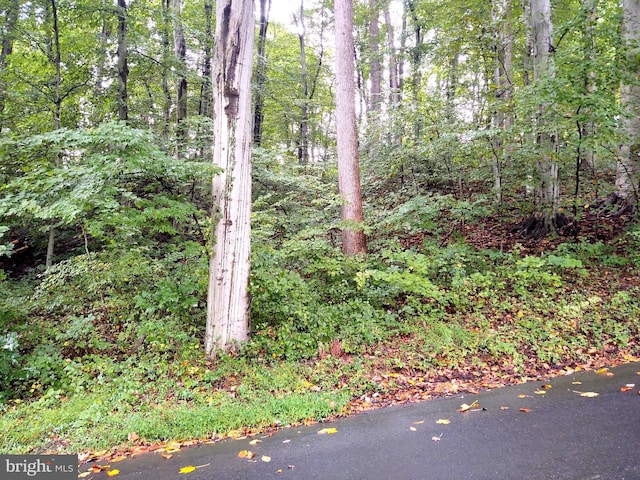 LOTS126-127 Codjus Dr, Rising Sun, MD 21911