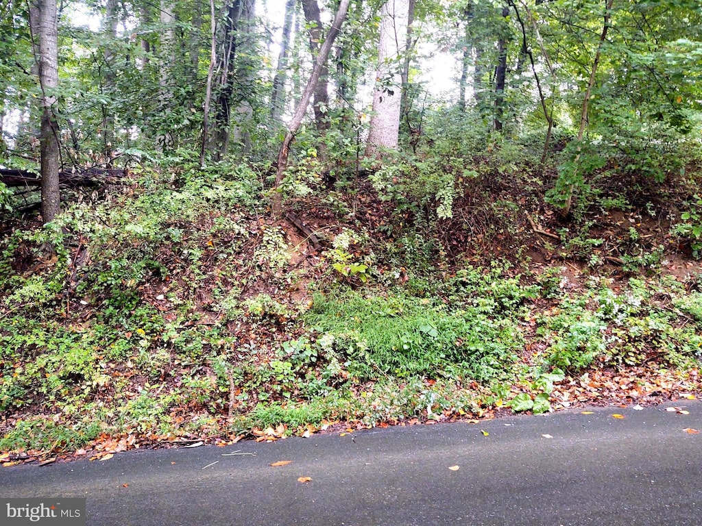 LOTS126-127 Codjus Dr, Rising Sun, MD 21911