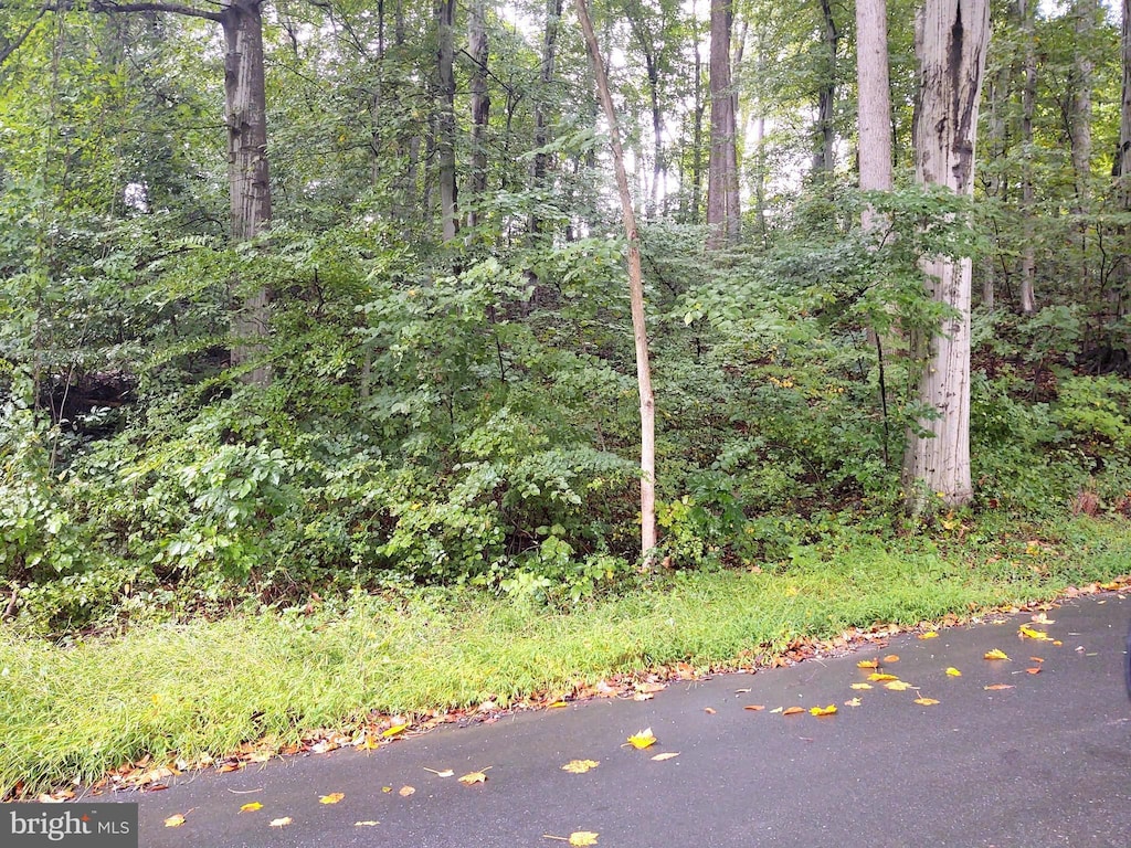LOTS126-127 Codjus Dr, Rising Sun, MD 21911
