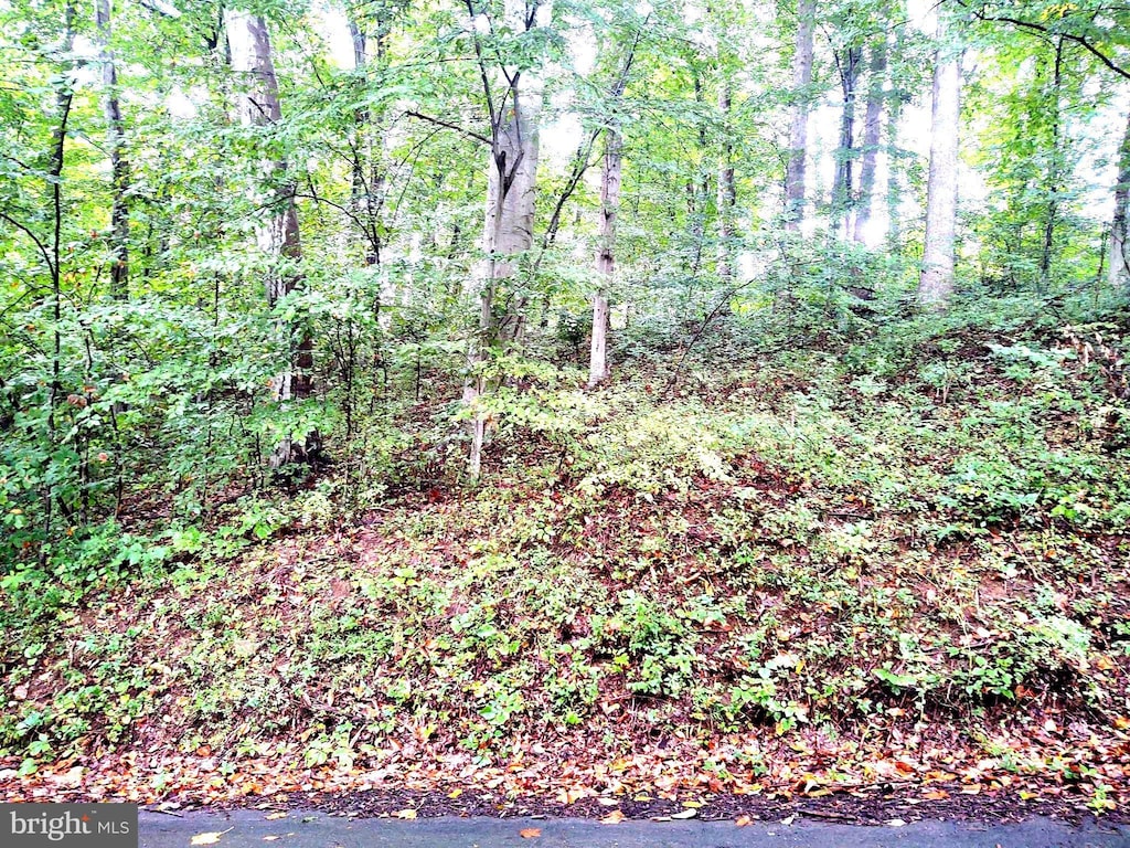 LOTS126-127 Codjus Dr, Rising Sun, MD 21911