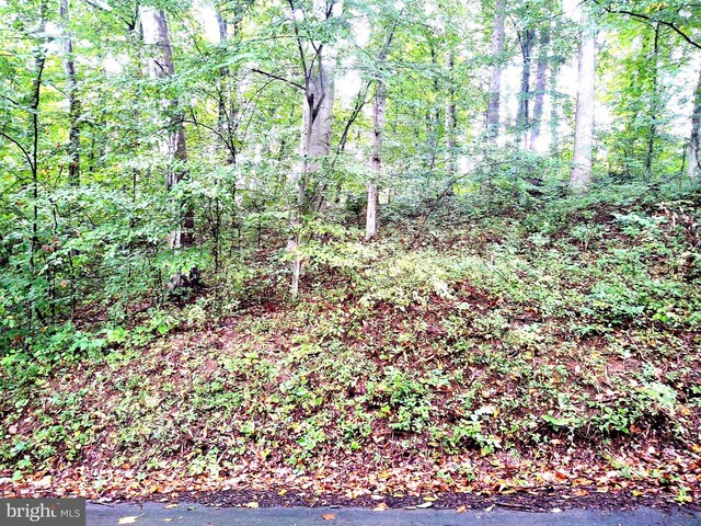 LOTS126-127 Codjus Dr, Rising Sun, MD 21911