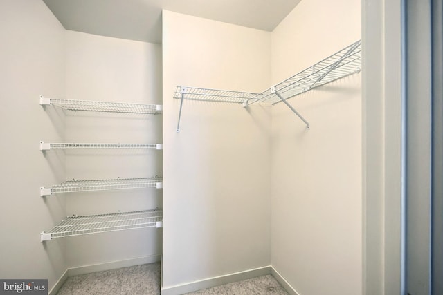 spacious closet featuring carpet flooring