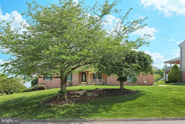 view of property hidden behind natural elements featuring covered porch, brick siding, and a front lawn
