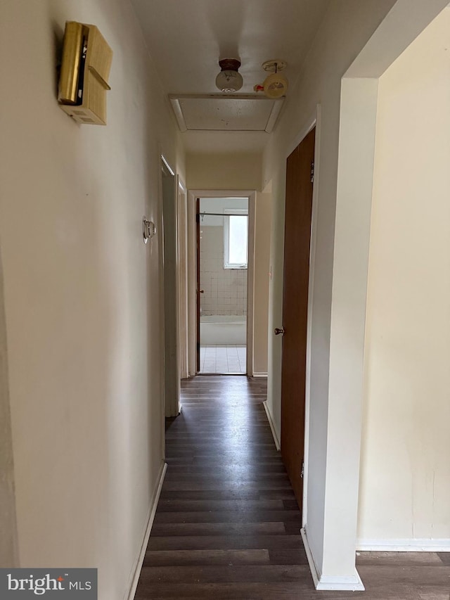 5119 19th St N, Arlington, VA 22207 - corridor with dark wood-type flooring, attic access, and baseboards