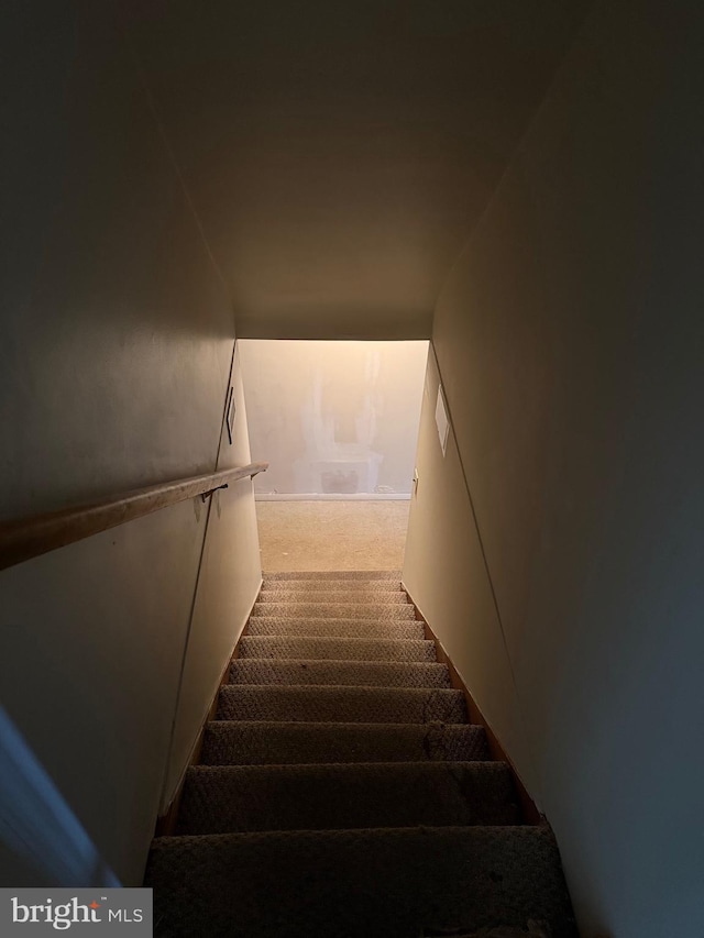 5119 19th St N, Arlington, VA 22207 - stairway featuring carpet floors