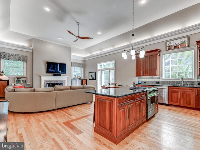 26 Bellchase Ct Unit B, Pikesville, MD 21208 - kitchen featuring appliances with stainless steel finishes, a sink, a raised ceiling, light wood-style flooring, and recessed lighting