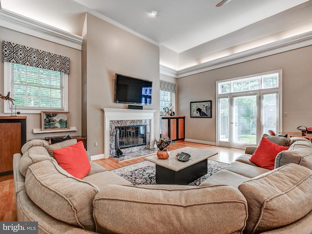 26 Bellchase Ct Unit B, Pikesville, MD 21208 - living room with light wood-type flooring, a fireplace, baseboards, and crown molding