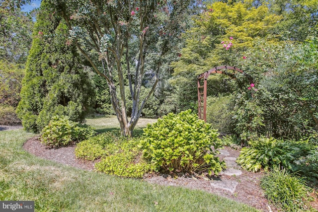 view of yard