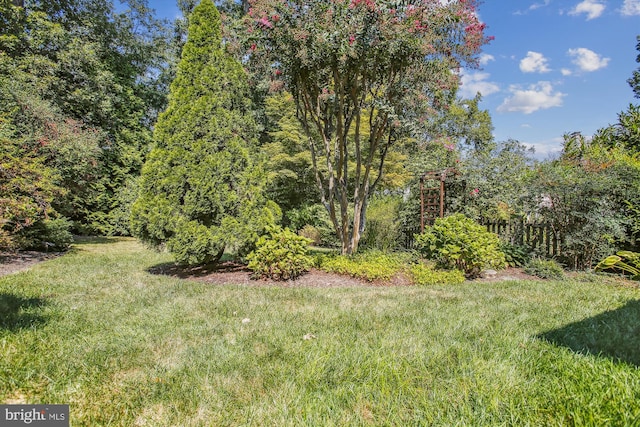 view of yard