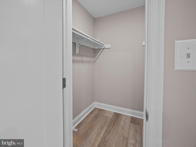 spacious closet featuring wood finished floors
