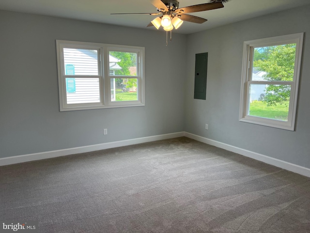 54 Bryan Dr, Rehoboth Beach, DE 19971 - unfurnished room with electric panel, plenty of natural light, ceiling fan, and dark colored carpet