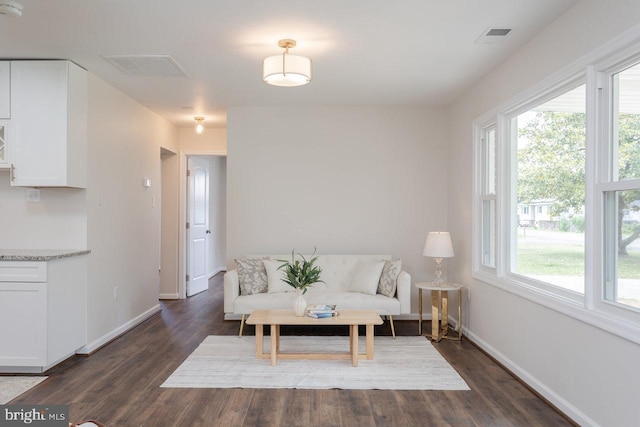 108 Wesley Chapel Dr, Edinburg, VA 22824 - living area featuring baseboards and dark wood-type flooring