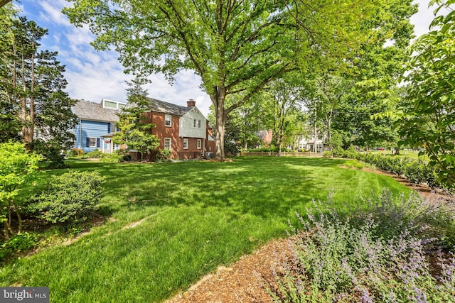 view of grassy yard