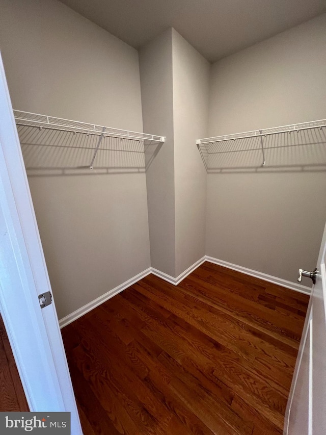 walk in closet with wood finished floors