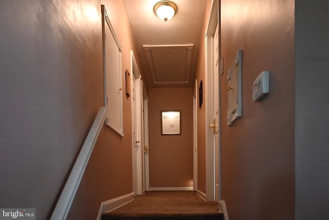 entryway with carpet and baseboards