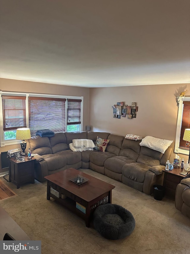 living room with healthy amount of natural light and carpet