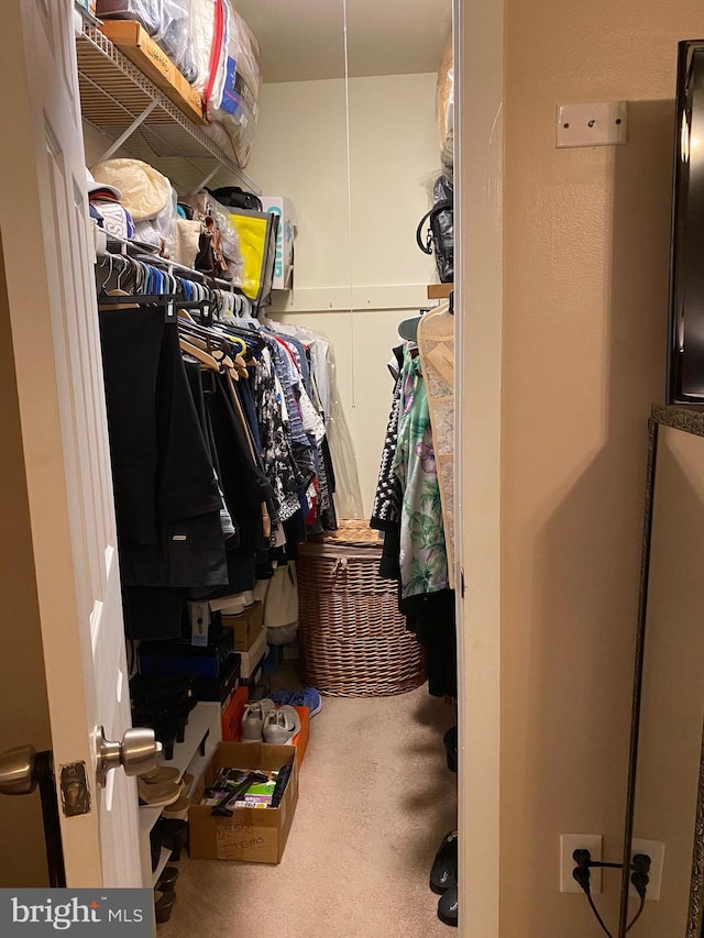 view of walk in closet
