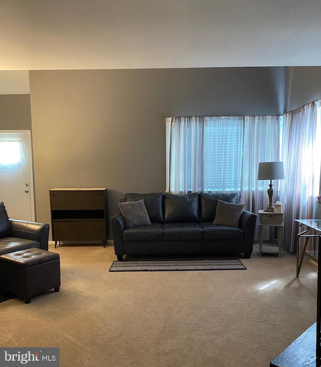 view of carpeted living area