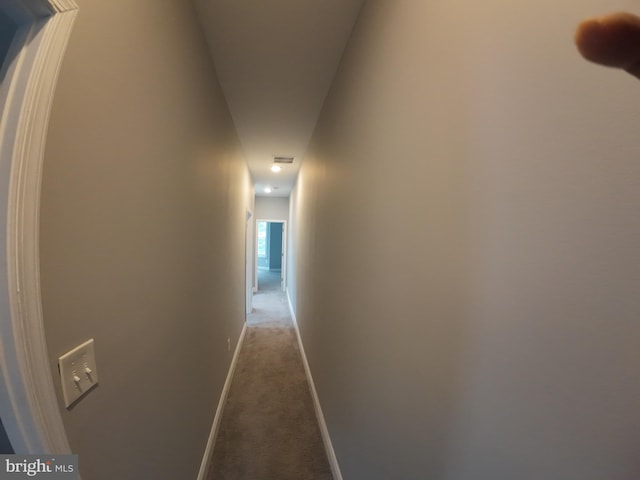 1632 Moreland Ave, Baltimore, MD 21216 - hall featuring carpet flooring and baseboards
