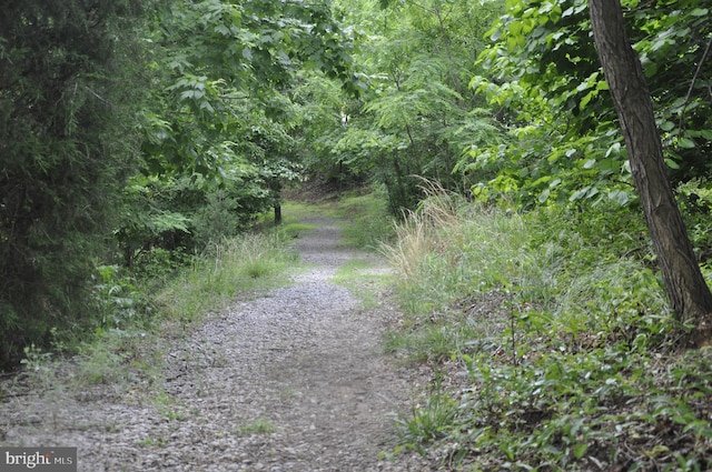 view of street featuring a forest view