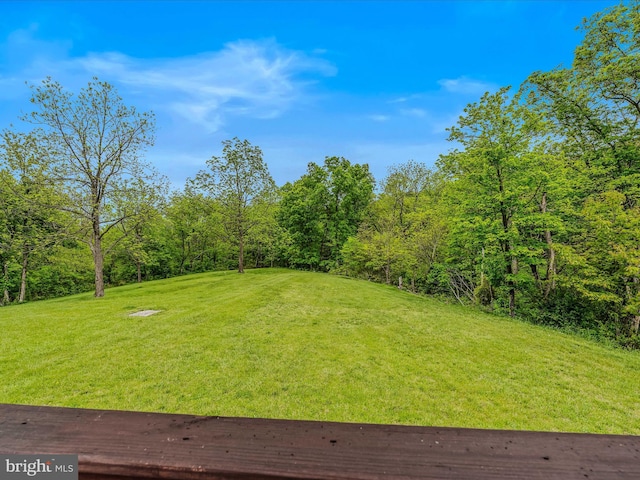 view of green lawn