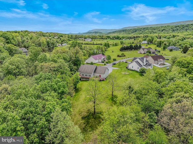 bird's eye view of a heavily wooded area
