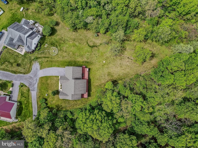bird's eye view