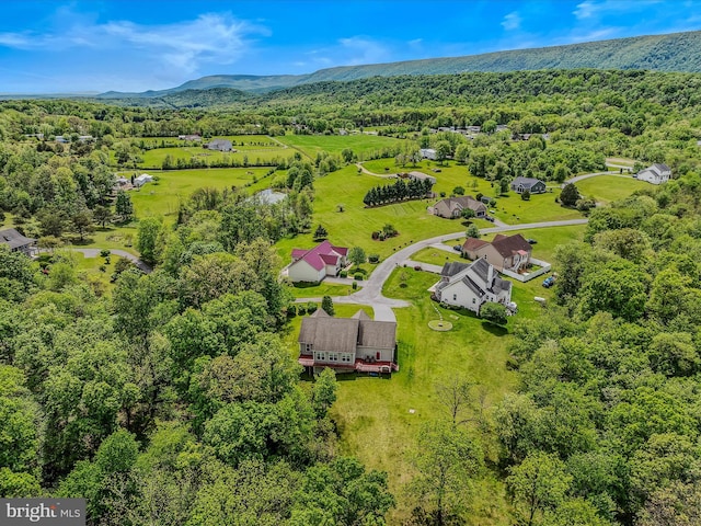 drone / aerial view of a forest and mountains