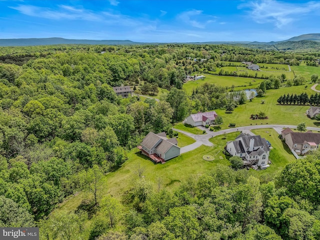 drone / aerial view of a heavily wooded area