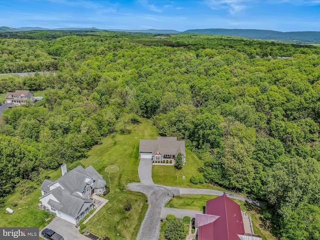drone / aerial view of a forest