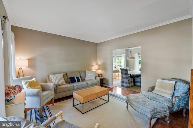 21591 Awbrey Pl, Broadlands, VA 20148 - living room with wood finished floors, ornamental molding, and baseboards
